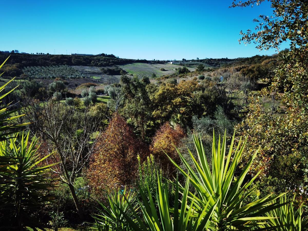 Quinta Do Vale Encantado "The Valley" - Santarem - Portugal Calhariz Exterior photo